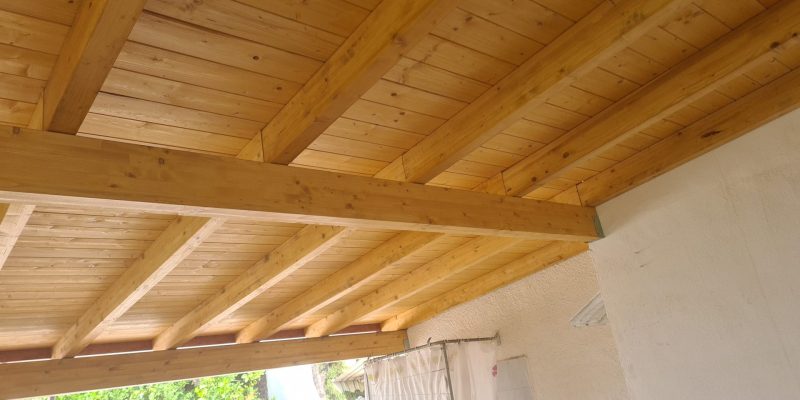 WhatsApp Image 2022-09-05 at 08.22.19 (1)